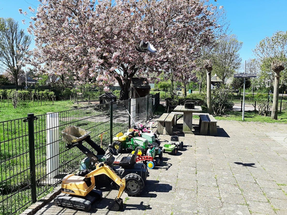 Trapauto's en trekkers op het terras onder de bloesem
